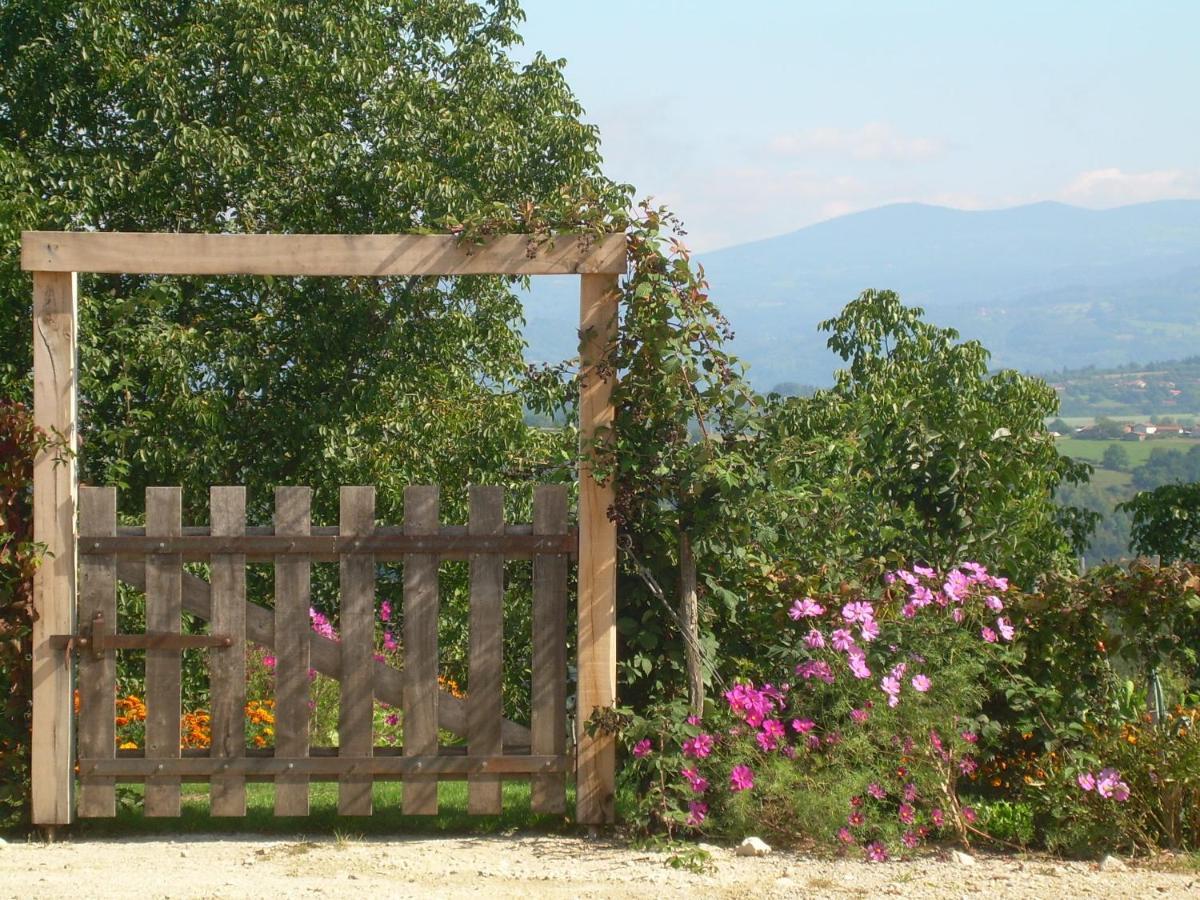 Chez Tiane Puy De Dome Bed and Breakfast Saint-Flour  Exteriör bild